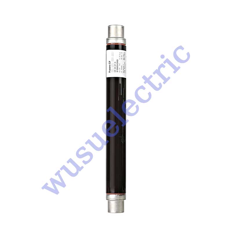 Schneider 51006520M0 Fuse